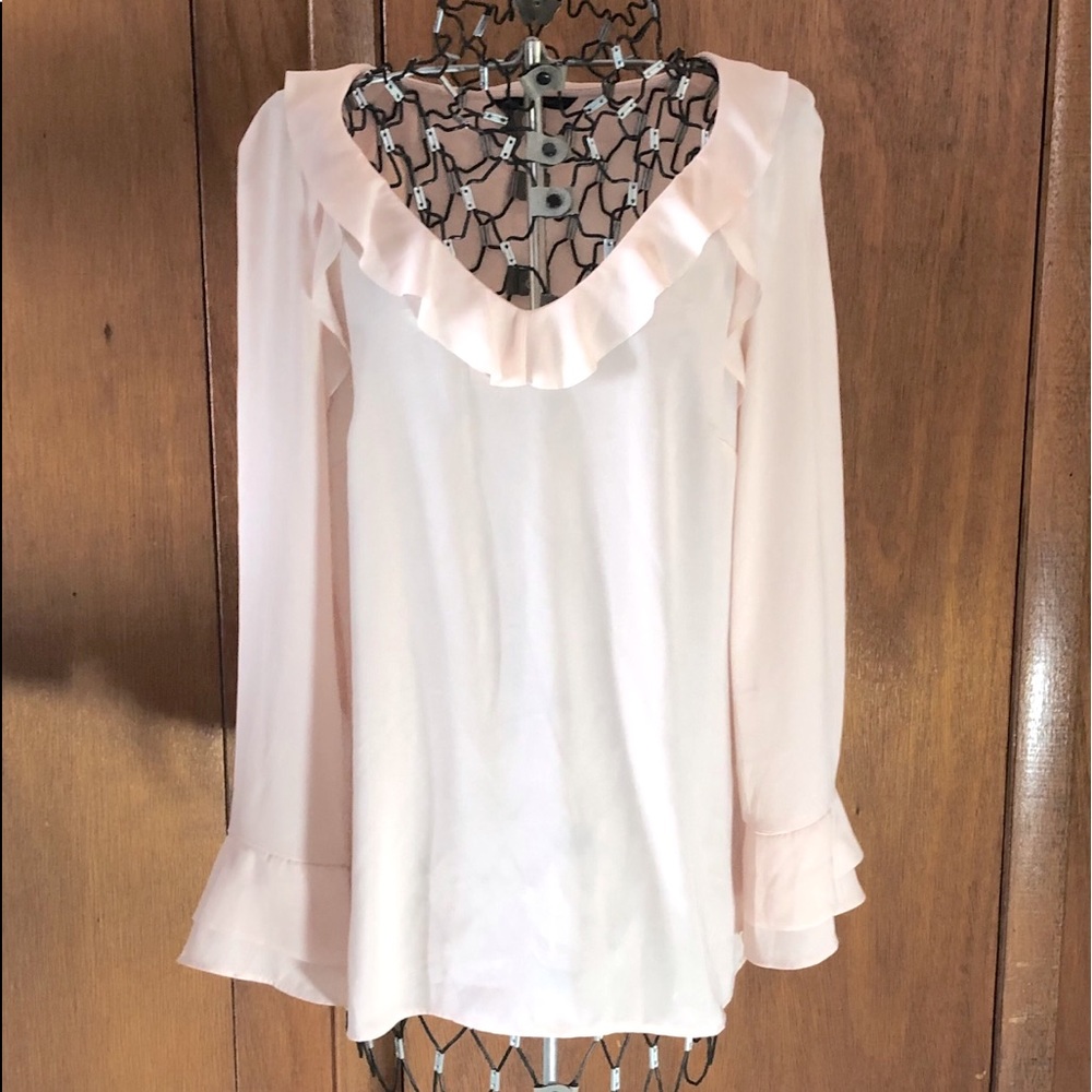 Banana Republic Light Pink Ruffled Shirt